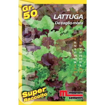 Semi orto big Lattughino taglio mix 50 g Semi orto big Lattughino taglio mix 50 g