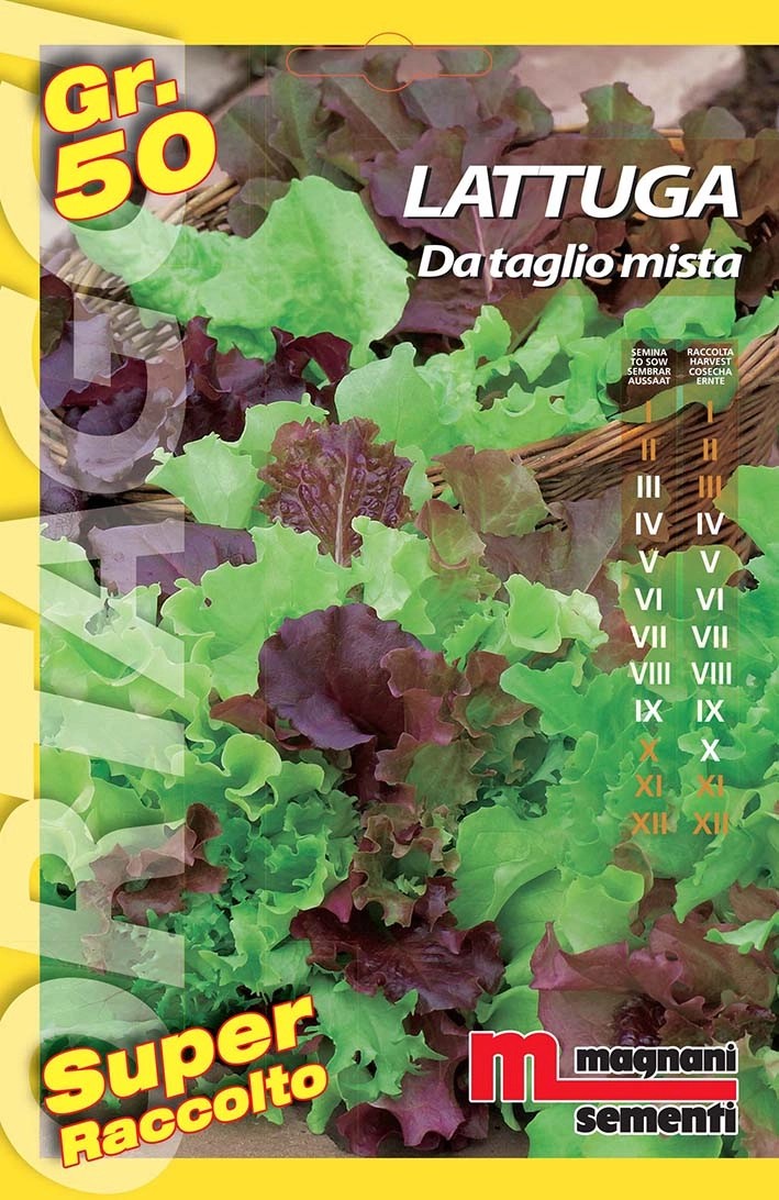 Semi orto big Lattughino taglio mix 50 g Semi orto big Lattughino taglio mix 50 g