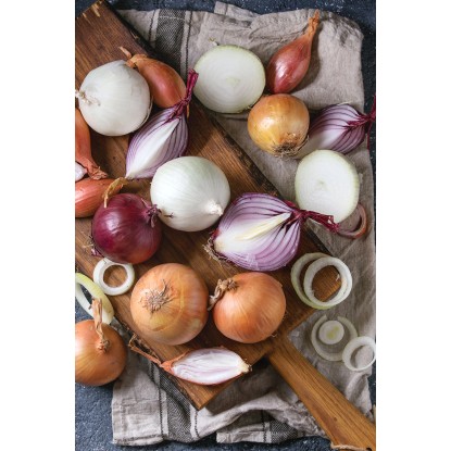 Cipolla bianca di Lucca vaschetta 9 pezzi Cipolla bianca di Lucca vaschetta 9 pezzi