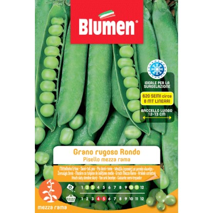 Semi Blumen Piselli mezza rama grano rugoso rondo 250 g Semi Blumen Piselli mezza rama grano rugoso rondo 250 g