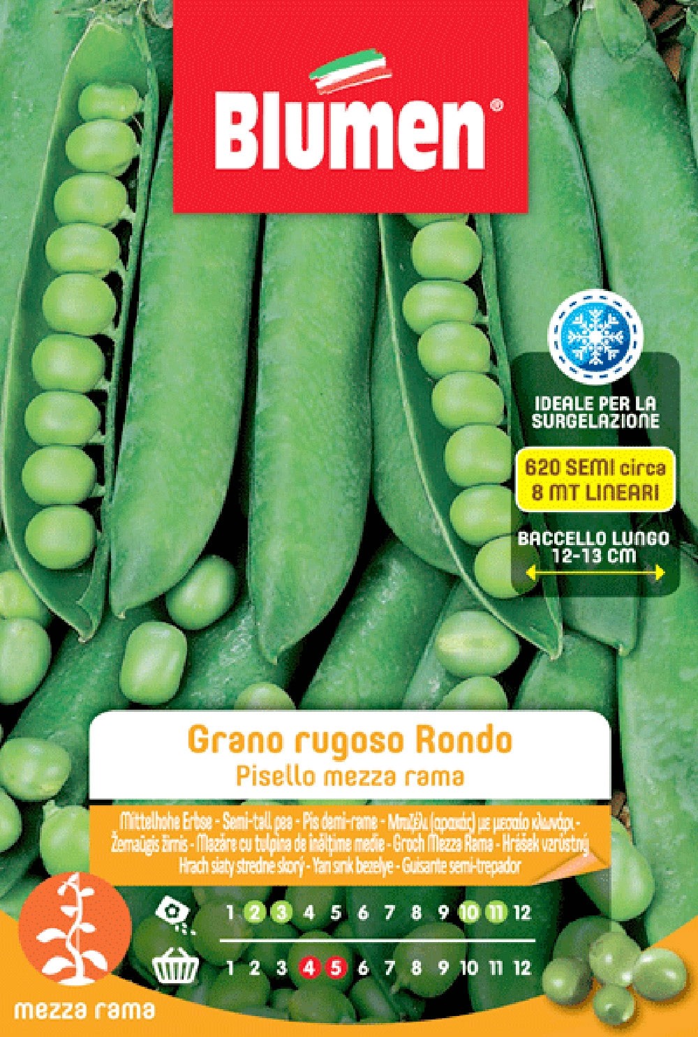 Semi Blumen Piselli mezza rama grano rugoso rondo 250 g Semi Blumen Piselli mezza rama grano rugoso rondo 250 g