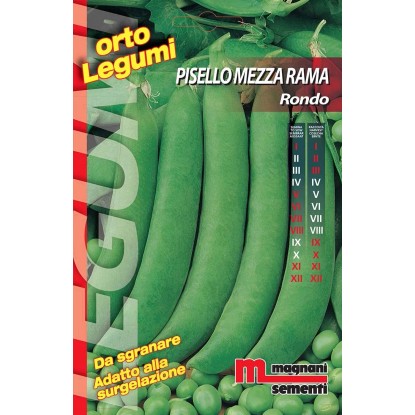 Semi Pisello mezza rama rondo 100 g Semi Pisello mezza rama rondo 100 g