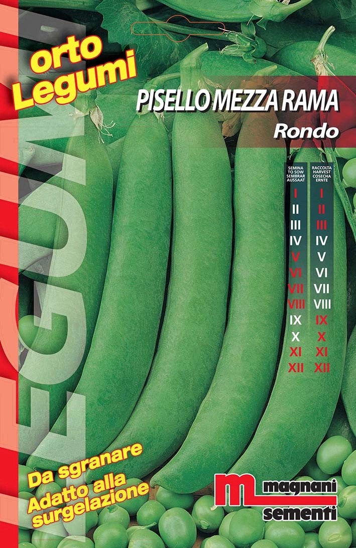 Semi Pisello mezza rama rondo 100 g Semi Pisello mezza rama rondo 100 g