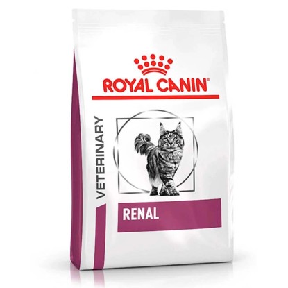 Cibo secco per gatti Royal Canin Renal 400 g Cibo secco per gatti Royal Canin Renal 400 g