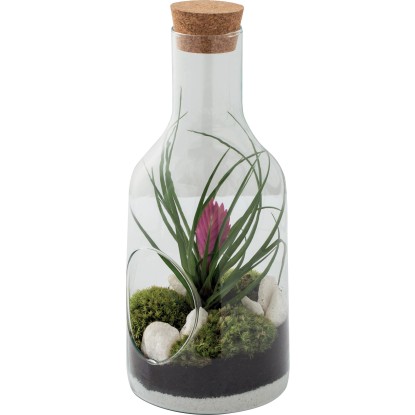 Composizione bottiglia in vetro con vriesea Composizione bottiglia in vetro con vriesea