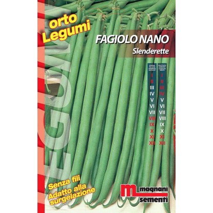 Semi Fagiolo nano Slenderette 100 g Semi Fagiolo nano Slenderette 100 g