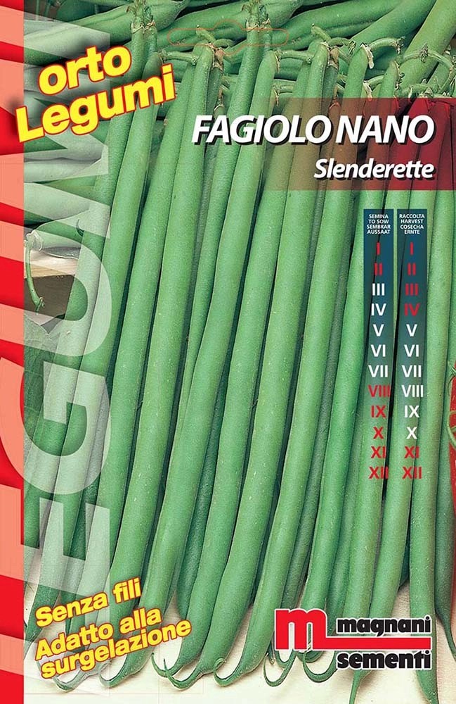 Semi Fagiolo nano Slenderette 100 g Semi Fagiolo nano Slenderette 100 g