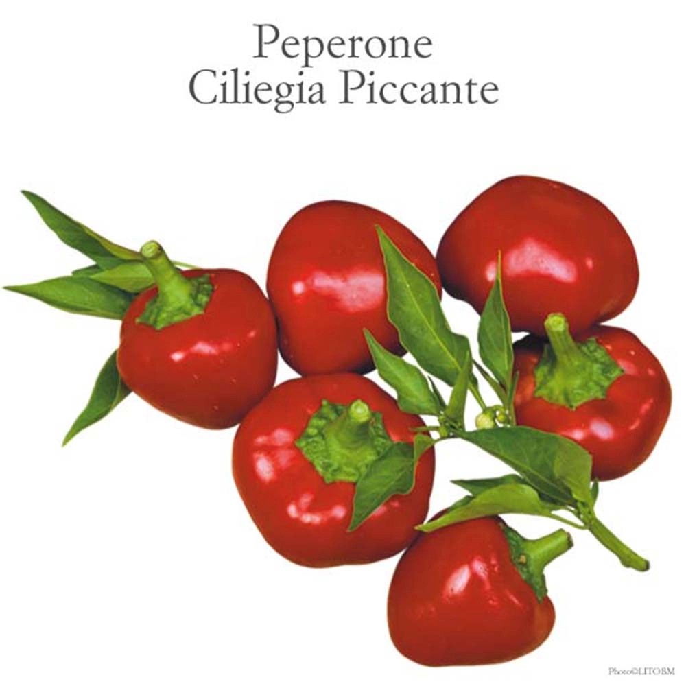Peperone Ciliegia piccante vaschetta 4 pz Peperone Ciliegia piccante vaschetta 4 pz