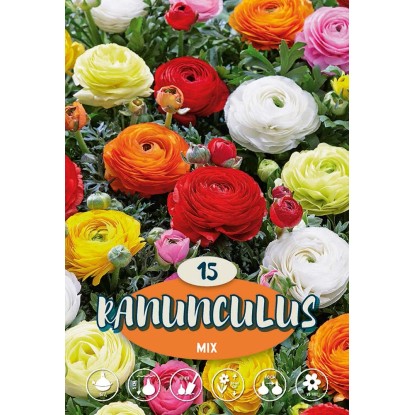 Bulbi da fiore ranuncoli mix 15 pz Bulbi da fiore ranuncoli mix 15 pz