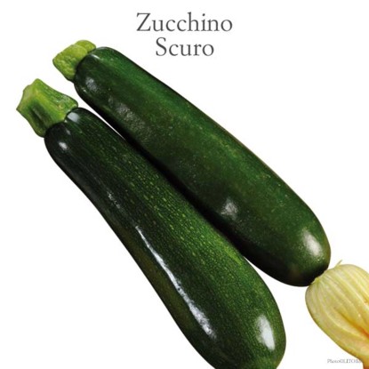 Zucchino President scuro vaschetta 4 pz Zucchino President scuro vaschetta 4 pz
