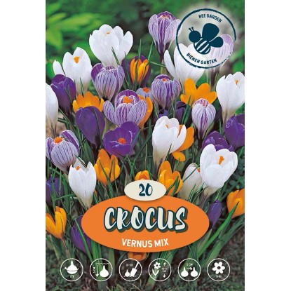 Crochi Vernus Misto Crochi Vernus Misto