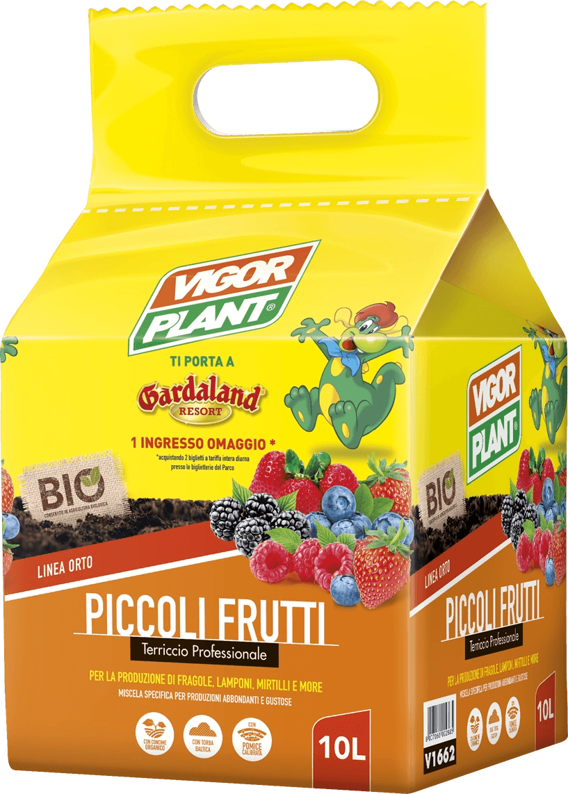 Terriccio professionale per piccoli frutti 10 l Terriccio professionale per piccoli frutti 10 l