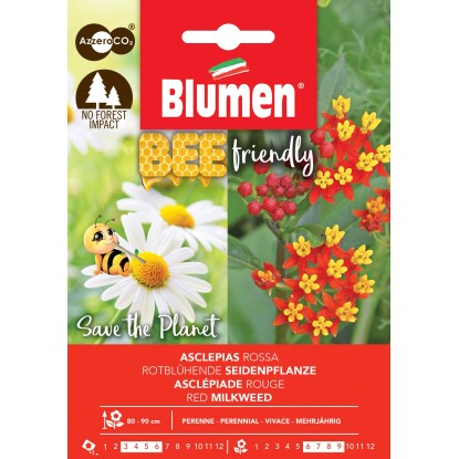 Semi Bee Friendly Asclepias Rossa Semi Bee Friendly Asclepias Rossa