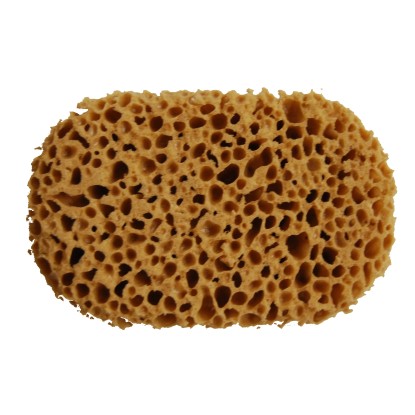 Spugna sintetica di mare Spugna sintetica di mare