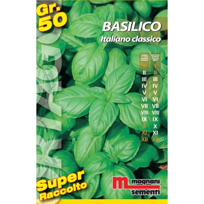 Semi orto big Basilico italiano 50 g Semi orto big Basilico italiano 50 g
