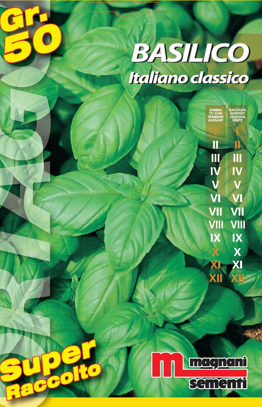 Semi orto big Basilico italiano 50 g Semi orto big Basilico italiano 50 g