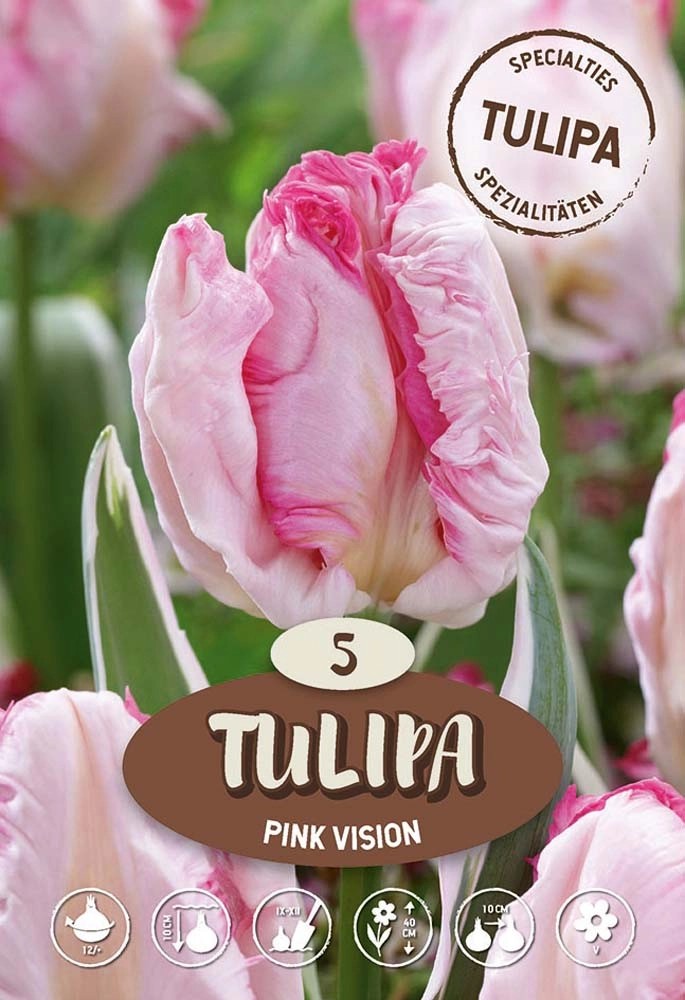 Tulipano Pink Vision Tulipano Pink Vision