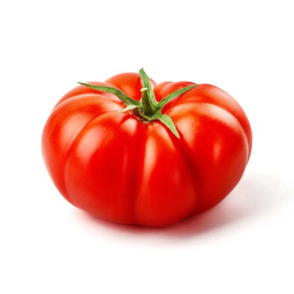 Pomodoro tondo grosso vaso 14 cm Pomodoro tondo grosso vaso 14 cm