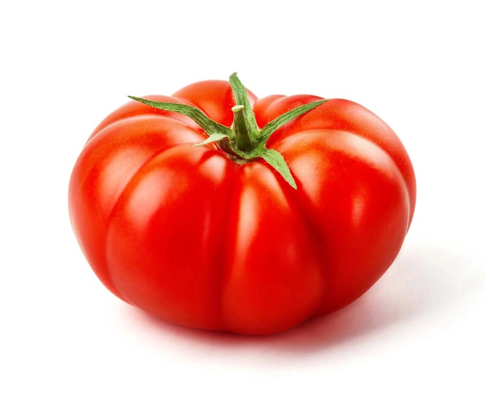 Pomodoro tondo grosso vaso 14 cm Pomodoro tondo grosso vaso 14 cm