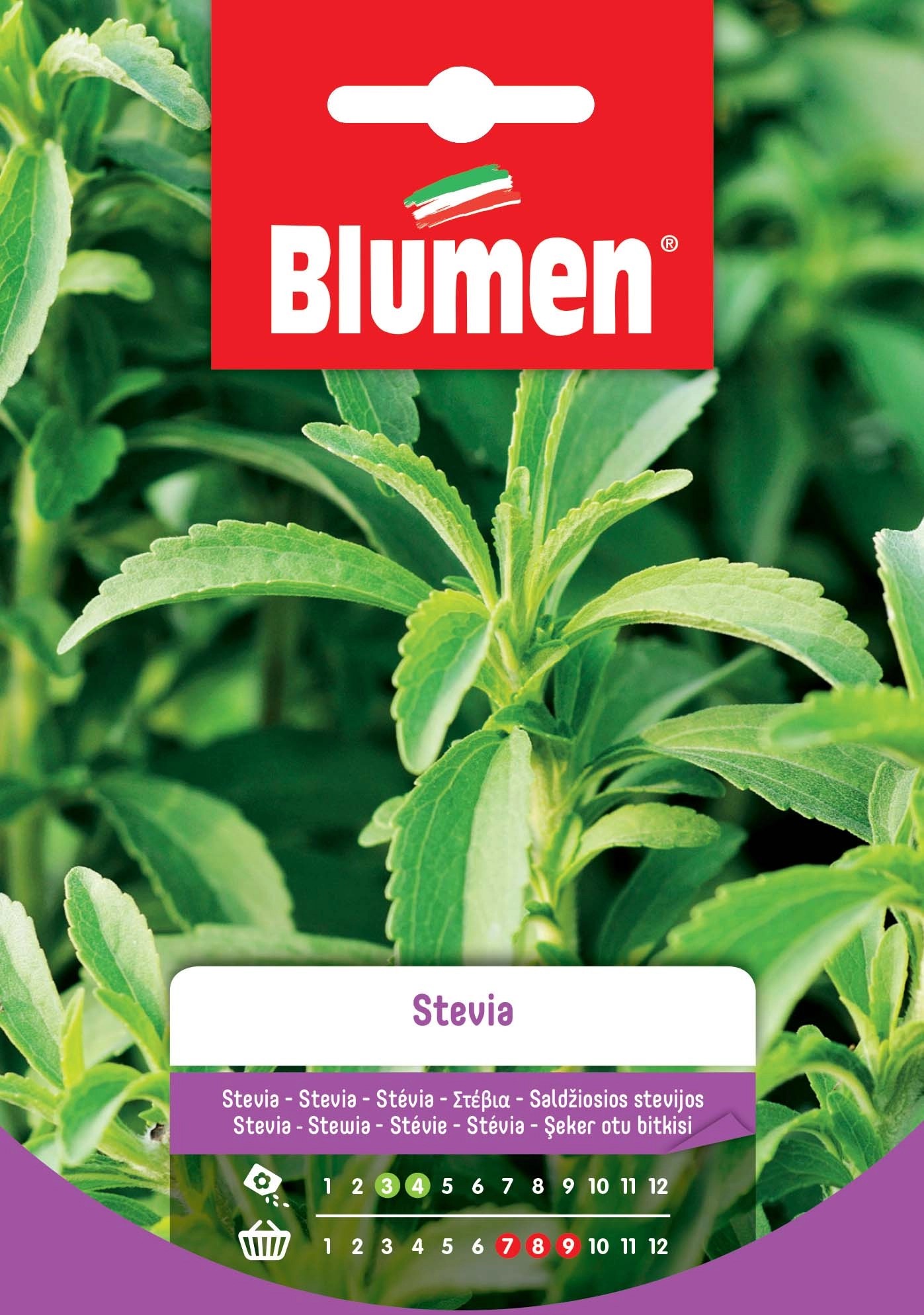 Semi Stevia Semi Stevia