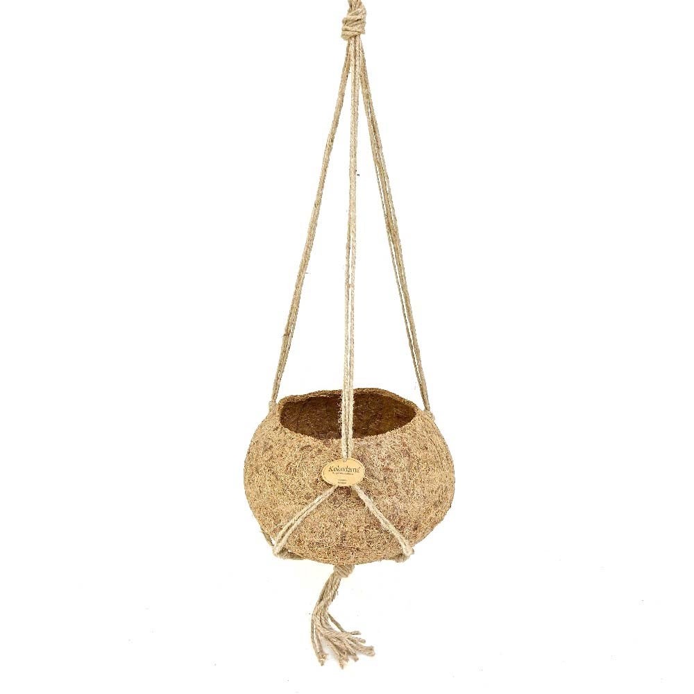 Kokodama Vuoto vaso 4 cm Kokodama Vuoto vaso 4 cm