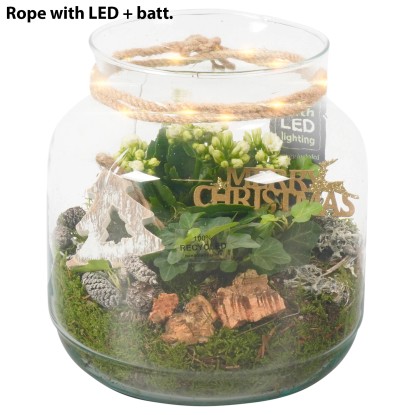 Composizione barattolo vetro Ø cm 19 Composizione barattolo vetro Ø cm 19