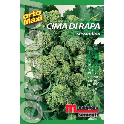 Semi orto maxi Cima di rapa sessantina Semi orto maxi Cima di rapa sessantina