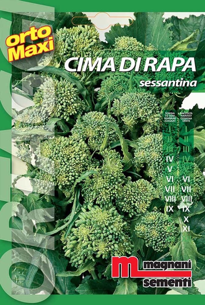 Semi orto maxi Cima di rapa sessantina Semi orto maxi Cima di rapa sessantina