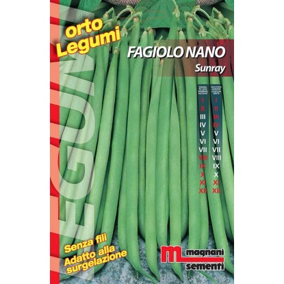 Semi Fagiolo nano Sunray 100 g Semi Fagiolo nano Sunray 100 g