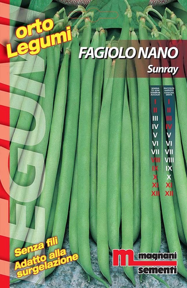 Semi Fagiolo nano Sunray 100 g Semi Fagiolo nano Sunray 100 g