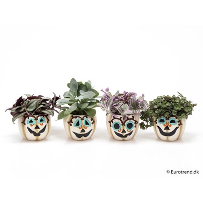 Miscela verde faccia spaventosa ceramica vaso da 6 cm Miscela verde faccia spaventosa ceramica vaso da 6 cm