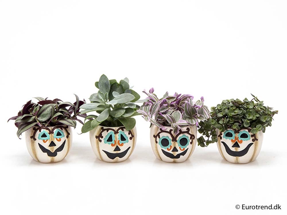 Miscela verde faccia spaventosa ceramica vaso da 6 cm Miscela verde faccia spaventosa ceramica vaso da 6 cm