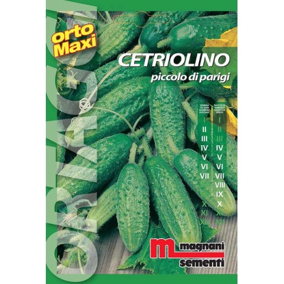 Semi orto maxi Cetriolino piccolo Semi orto maxi Cetriolino piccolo