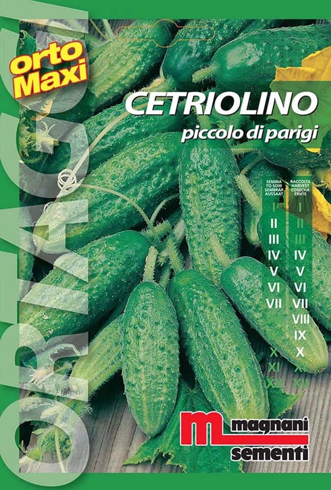 Semi orto maxi Cetriolino piccolo Semi orto maxi Cetriolino piccolo