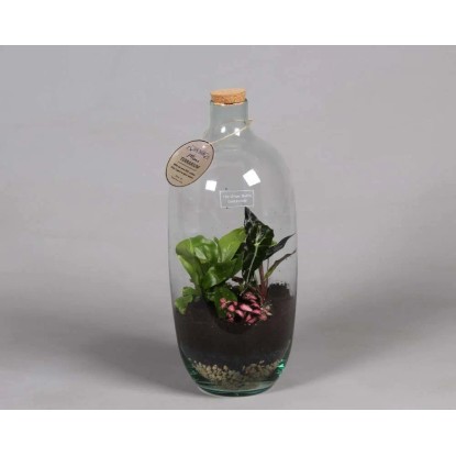 Composizione Bottiglia Verde Vaso 19 cm Composizione Bottiglia Verde Vaso 19 cm