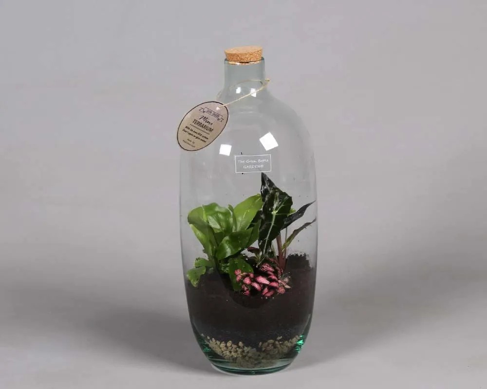 Composizione Bottiglia Verde Vaso 19 cm Composizione Bottiglia Verde Vaso 19 cm