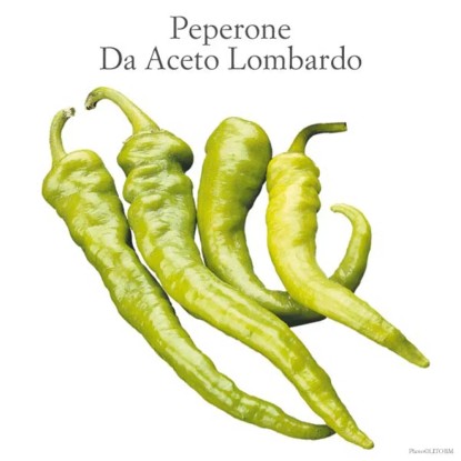 Peperone da aceto vaschetta 4 pz Peperone da aceto vaschetta 4 pz