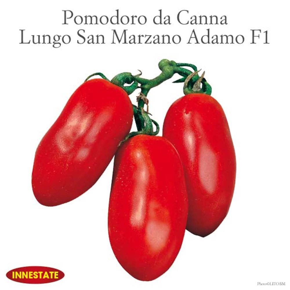 Pomodoro ovale Cencara vaschetta 4 pz Pomodoro ovale Cencara vaschetta 4 pz