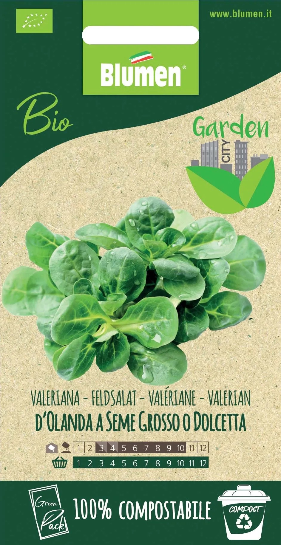 Semi Valeriana d`Olanda a Semi grosso o dolcetta Semi Valeriana d`Olanda a Semi grosso o dolcetta