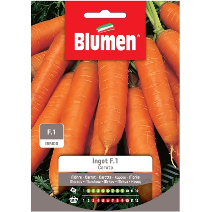 Semi Blumen Carota f.1 Semi Blumen Carota f.1