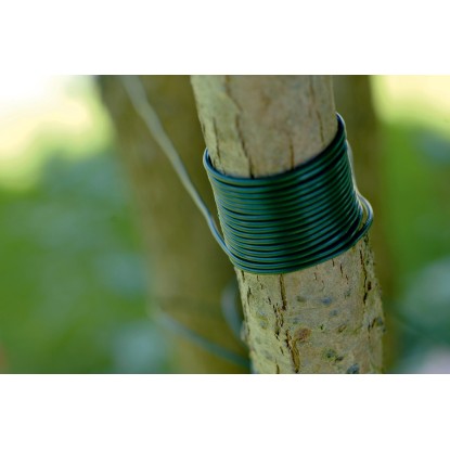 Filo plastica per legatura 25 m Filo plastica per legatura 25 m