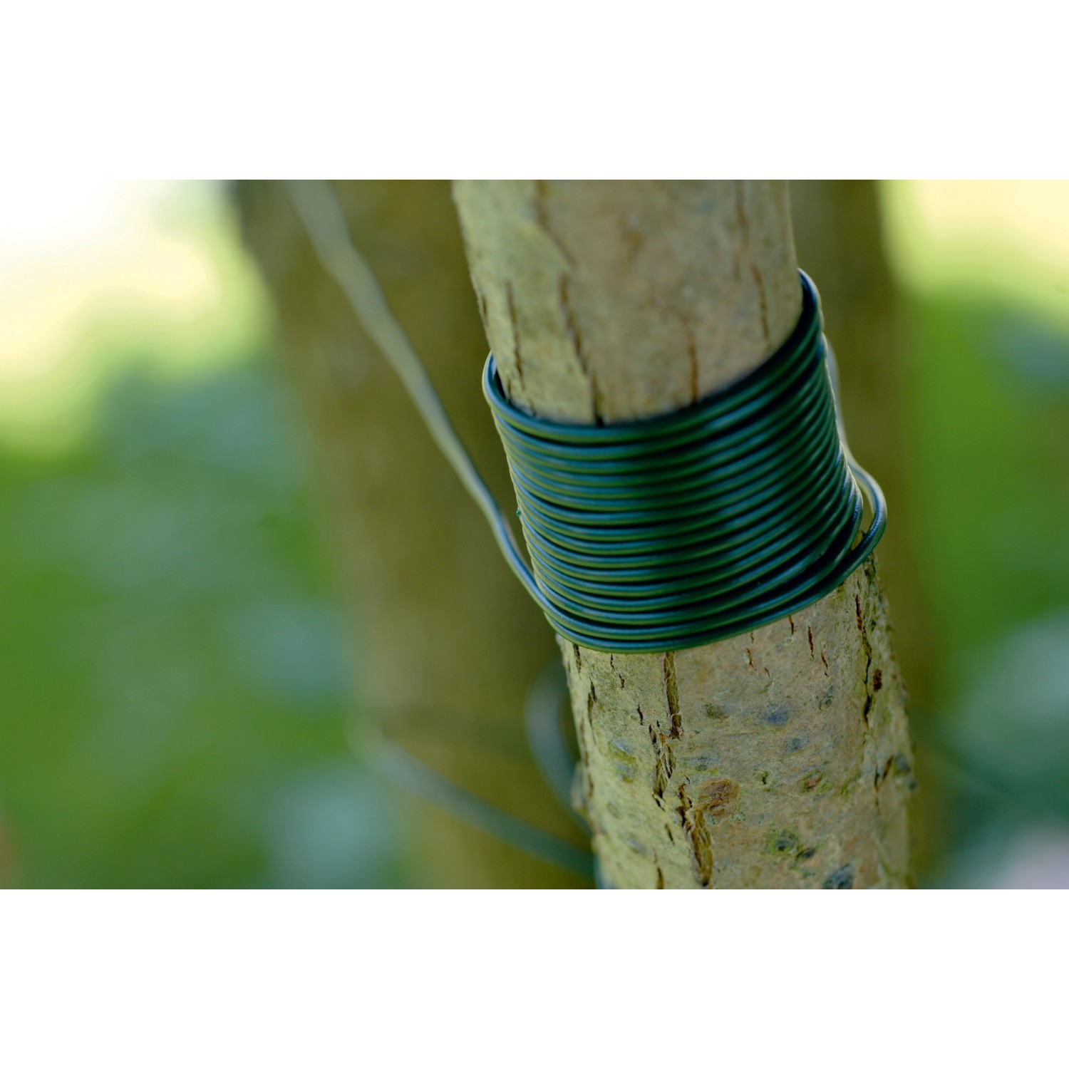 Filo plastica per legatura 25 m Filo plastica per legatura 25 m