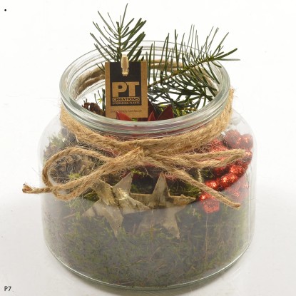 Composizione piante assortite rosse in barattolo in vetro Composizione piante assortite rosse in barattolo in vetro