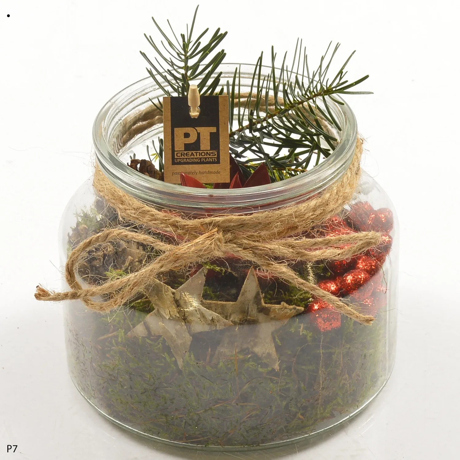 Composizione piante assortite rosse in barattolo in vetro Composizione piante assortite rosse in barattolo in vetro