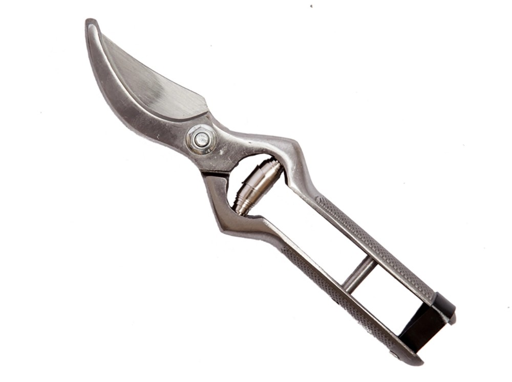 Forbice da potatura e vigna forgiata 18 cm Forbice da potatura e vigna forgiata 18 cm