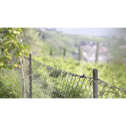 Raccordo a T sfuso Ø 8 mm per Geyser 25 pz Raccordo a T sfuso Ø 8 mm per Geyser 25 pz