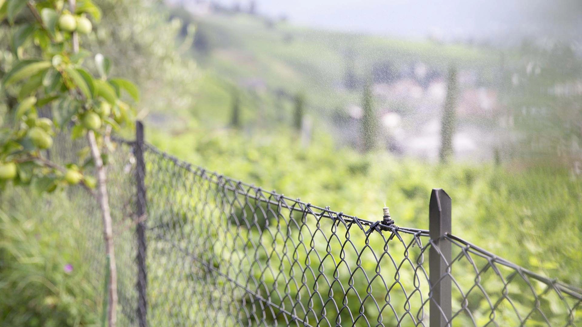 Raccordo a T sfuso Ø 8 mm per Geyser 25 pz Raccordo a T sfuso Ø 8 mm per Geyser 25 pz