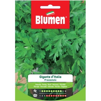 Semi Blumen Prezzemolo gigante d`Italia Semi Blumen Prezzemolo gigante d`Italia