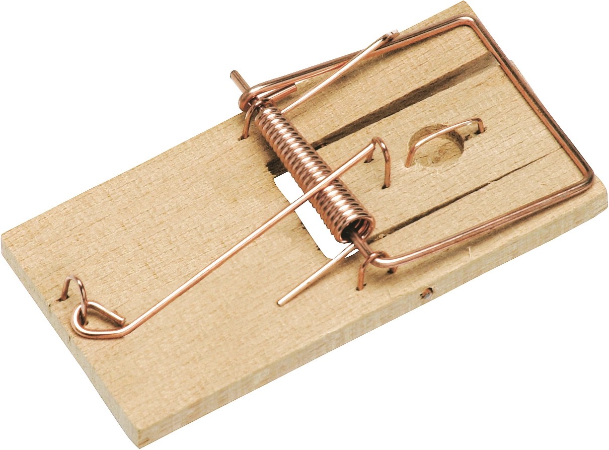 La trappola per topi in legno di faggio La trappola per topi in legno di faggio