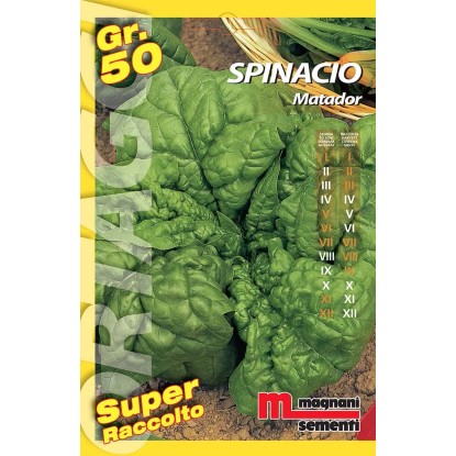 Semi orto big Spinacio matador 50 g Semi orto big Spinacio matador 50 g